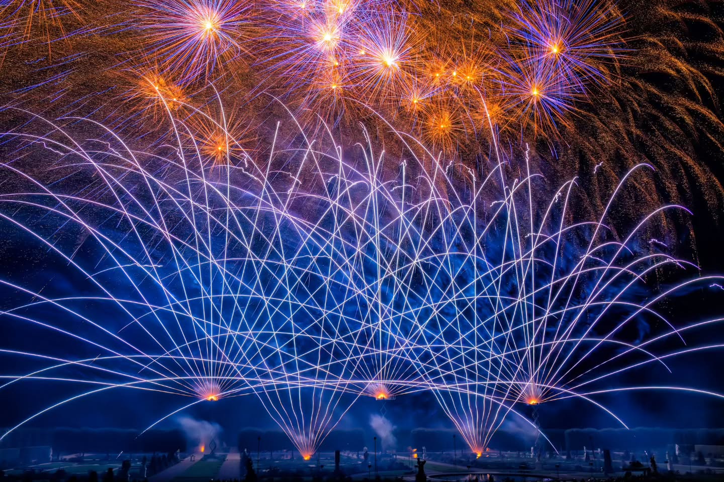 �¹���ŵ�������̻�����